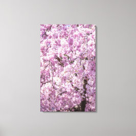 Cherry Blossom Spring Canvas Afdruk