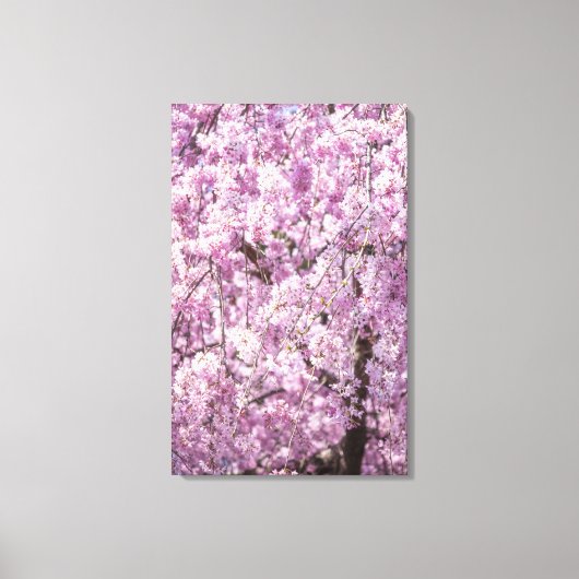 Cherry Blossom Spring Canvas Afdruk (Voorkant)