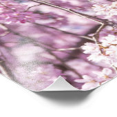 Cherry Blossom Spring Foto Afdruk (Hoek)