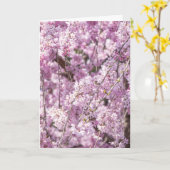 Cherry Blossom Spring Kaart (Gele Bloem)