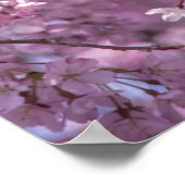 Cherry Blossom Spring Poster (Hoek)