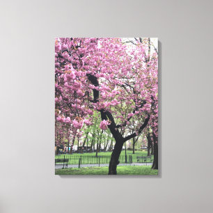 Cherry Blossom Springtime Tree NYC New York City Canvas Afdruk