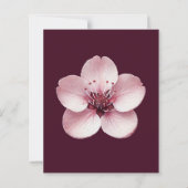 Cherry Blossom Stationery (Voorkant)
