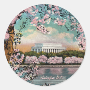 Cherry Blossom Sticker