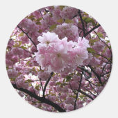 Cherry Blossom Sticker (Voorkant)