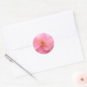 Cherry Blossom Stickers (Envelop)
