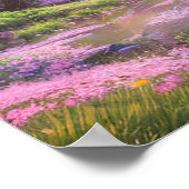Cherry Blossom Stream met Sunset Glow Poster (Hoek)