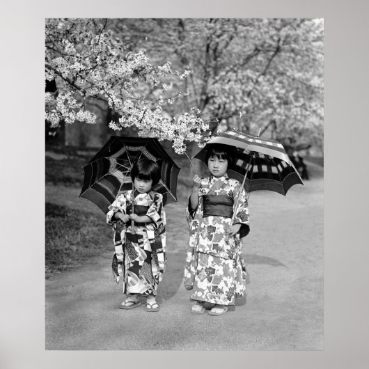 Cherry Blossom Stroll, 1925 Poster (Voorkant)