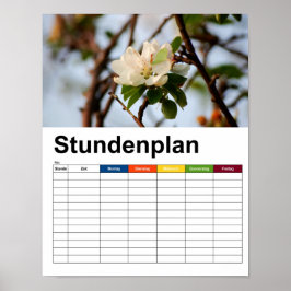 Cherry Blossom Stundenplan Poster