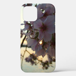 Cherry Blossom Sunset in Washington DC Case-Mate iPhone Case