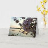 Cherry Blossom Sunset in Washington DC Kaart (Gele Bloem)