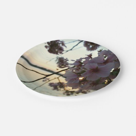 Cherry Blossom Sunset in Washington DC Papieren Bordje (Gekanteld)