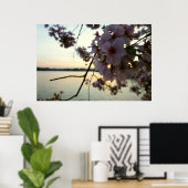 Cherry Blossom Sunset in Washington DC Poster (Thuiskantoor)