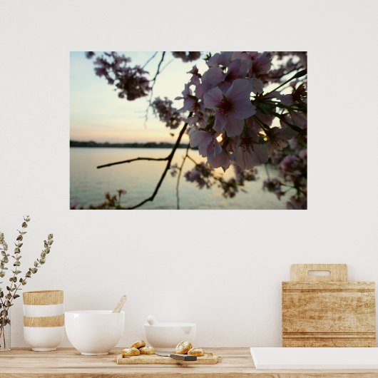 Cherry Blossom Sunset in Washington DC Poster (Keuken)