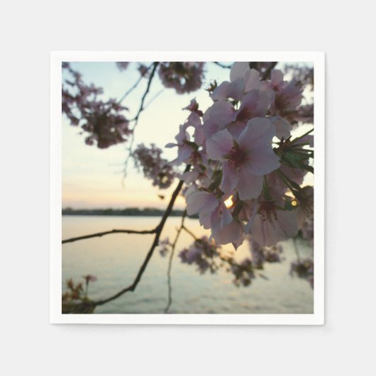 Cherry Blossom Sunset in Washington DC Servet (Voorkant)