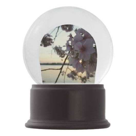 Cherry Blossom Sunset in Washington DC Sneeuwbol (Voorkant)