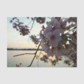 Cherry Blossom Sunset in Washington DC Tissuepapier (Voorkant)