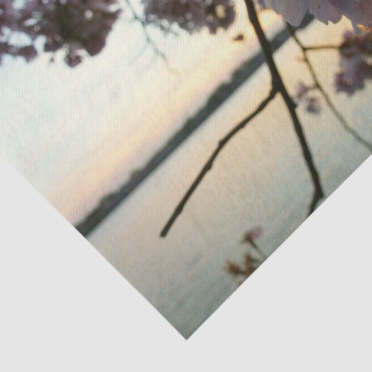 Cherry Blossom Sunset in Washington DC Tissuepapier (Detail)
