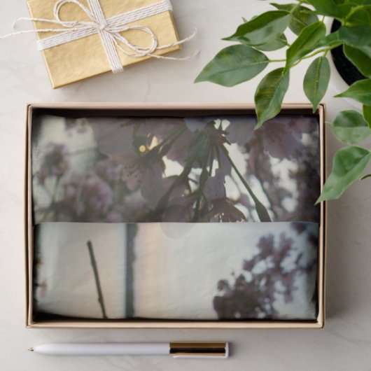 Cherry Blossom Sunset in Washington DC Tissuepapier (Geschenk)