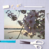 Cherry Blossom Sunset in Washington DC Tissuepapier (Craft)