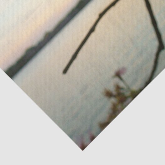 Cherry Blossom Sunset in Washington DC Tissuepapier (Detail)