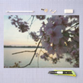 Cherry Blossom Sunset in Washington DC Tissuepapier (Craft)