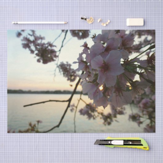 Cherry Blossom Sunset in Washington DC Tissuepapier (Craft)