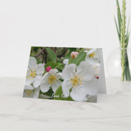 Cherry Blossom Surprise Folded Thank You Card Bedankkaart