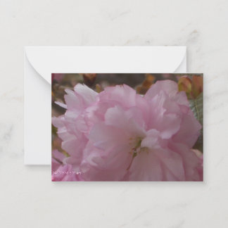 Cherry Blossom Sympathy Card Notitiekaartje