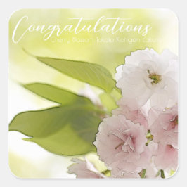 Cherry Blossom "Takato Kohigan-Zakura" スクエアシール Vierkante Sticker