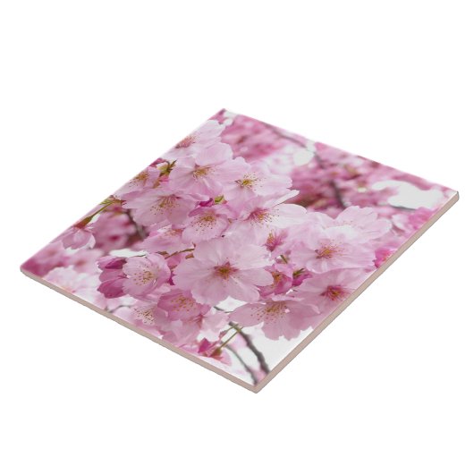 Cherry blossom tegeltje (Zijkant)
