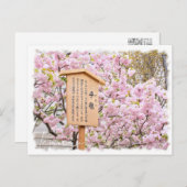 Cherry Blossom "Temari" ポストカード Briefkaart (Voorkant / Achterkant)