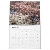 Cherry Blossom Time Kalender (Mar 2027)
