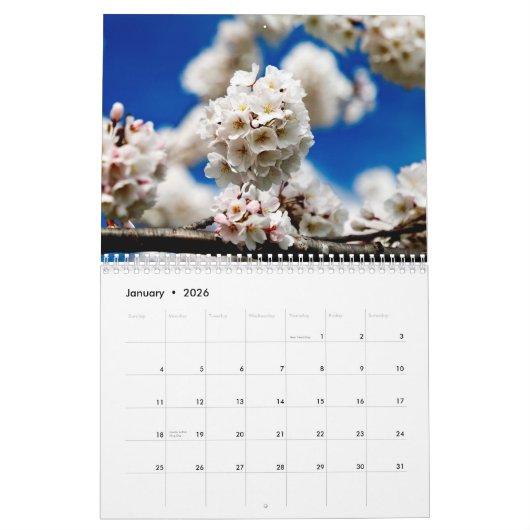 Cherry Blossom Time Kalender (Jan 2026)