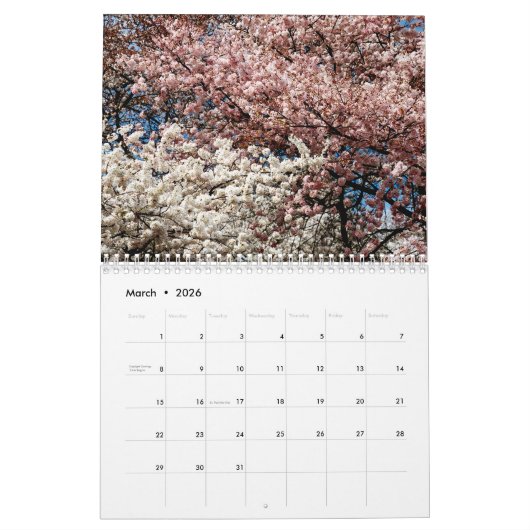 Cherry Blossom Time Kalender (Mar 2026)