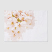 Cherry Blossom Tissue Paper Tissuepapier (Voorkant)