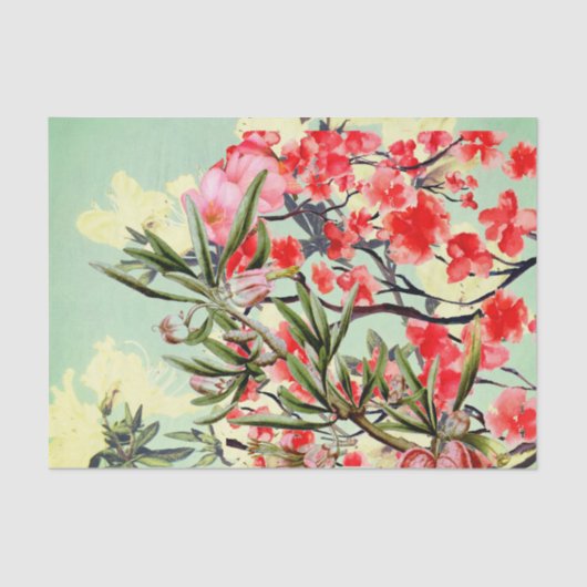 CHERRY BLOSSOM TISSUE PAPIER (Voorkant)