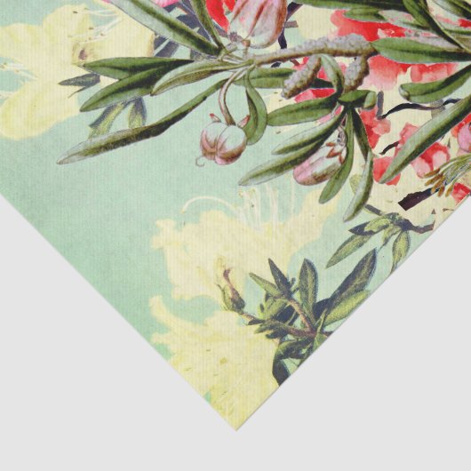 CHERRY BLOSSOM TISSUE PAPIER (Detail)