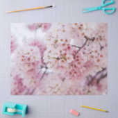 Cherry Blossom Tissuepapier (Craft)