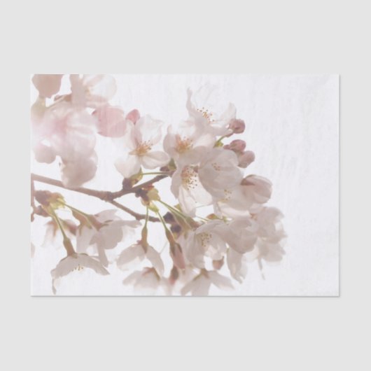  Cherry Blossom Tissuepapier (Voorkant)