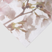  Cherry Blossom Tissuepapier (Detail)