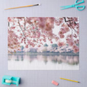 Cherry Blossom Tissuepapier (Craft)