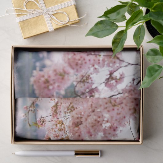 Cherry Blossom Tissuepapier (Geschenk)