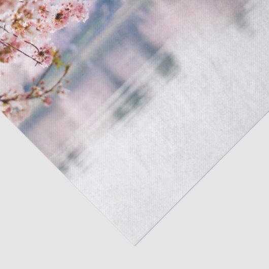 Cherry Blossom Tissuepapier (Detail)