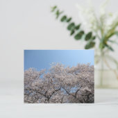 Cherry Blossom: Tokio, Japan Briefkaart (Staand voorkant)