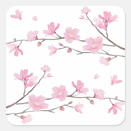 Cherry Blossom - Transparent-Background Vierkante Sticker (Voorkant)