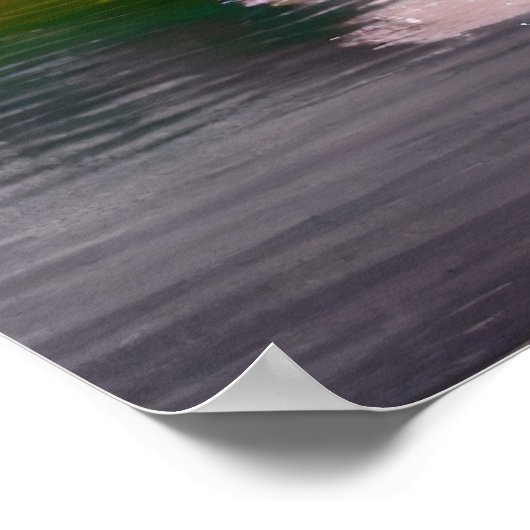 Cherry Blossom Tree at a Lake Poster (Hoek)