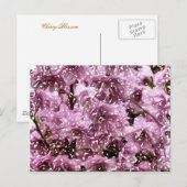 CHERRY BLOSSOM TREE BRIEFKAART (Voorkant / Achterkant)