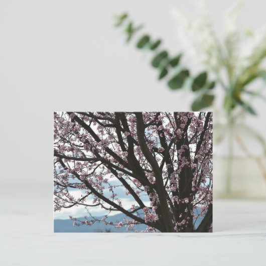Cherry Blossom Tree Briefkaart (Staand voorkant)