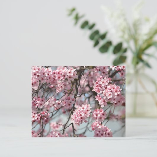 Cherry Blossom Tree Briefkaart (Staand voorkant)